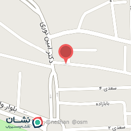 عکس پیتزا ساندویچ طنان