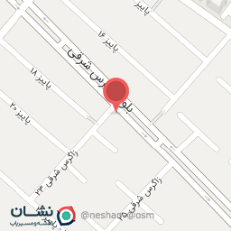 عکس تهیه غذای خانجون