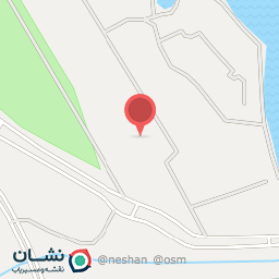 عکس راکون - Raccoon