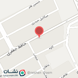 عکس کتونی هانزو 