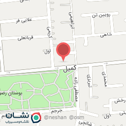 عکس نمایشگاه اتوموبیل شادی