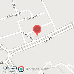 عکس فروشگاه فرش نگین