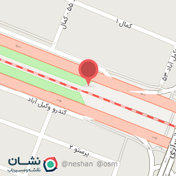 عکس دکتر نیلا برهانی نیا