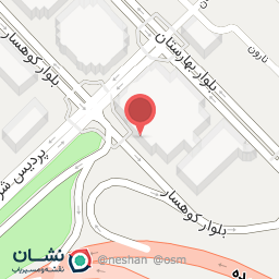 عکس پیتزا مانو 