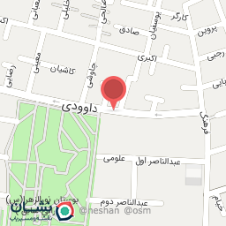 عکس الکتریکی رعد