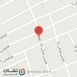 عکس کفش شوک