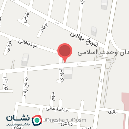 عکس پیتزا آرش