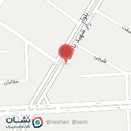 عکس مرغ و ماهی المهدی