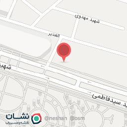 عکس پیتزا ملی