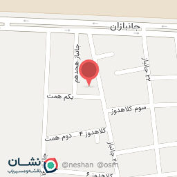 عکس کفش پارس