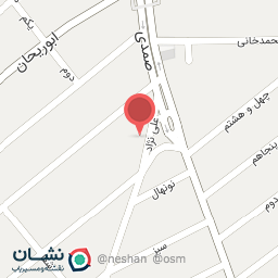 عکس پیتزا شاندیز(سیب)