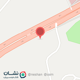 عکس زیتون ذوالفقاری