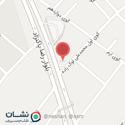 عکس اتو سرویس دلاوری