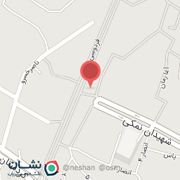 عکس فلافل ونیز شعبه نمکی