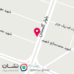 عکس پیتزا آرسس(اقای اسنک سابق)