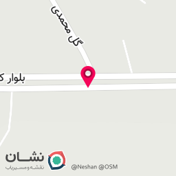 عکس کارواش رامین