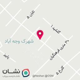 عکس فروشگاه شاه طوطی 