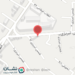 عکس تزئینات اتومبیل دهقان 