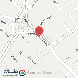 عکس کفش میهن 