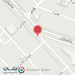 عکس کیف و کفش چلچله