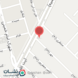 عکس فست فود حامد