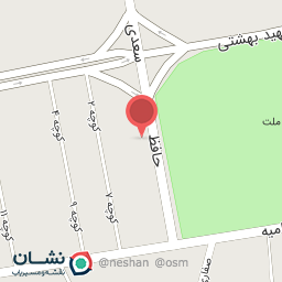 عکس پیتزا سی تو