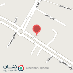 عکس الکتریکی نگین