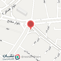 عکس مرغ خانگی داننده