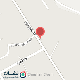 عکس فلافل عمورضا