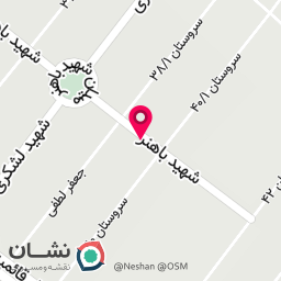 عکس همیار سرویس