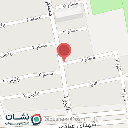 عکس بیر برگر