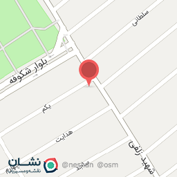 عکس فلافل آرین (دولپی)