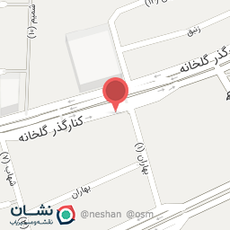 عکس دکتر شیوا وفایی