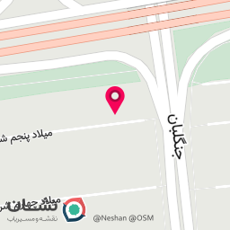 عکس دکتر روانشناس میر سعید رضائی