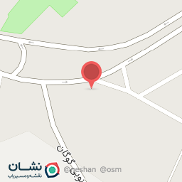 عکس تهیه غذای Anaاصل