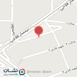 عکس کیف و کفش رکورد