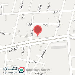 عکس نمایشگاه اتومبیل  عراقی