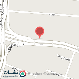 عکس تعویض روغنی امیر