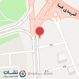 عکس تزیینات اتومبیل موعود