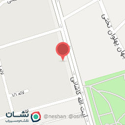 عکس فروشگاه دلسی