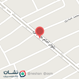 عکس فروشگاه شنانی