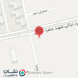 عکس چلو کباب فرد جوان