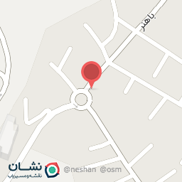 عکس برگر زغالی اقای خرچنگ