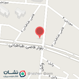 عکس مرغ بریان خاتون