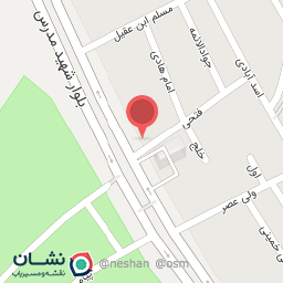 عکس برگر میوه 