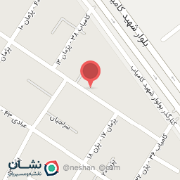 عکس هیئت زوار‌الزهرا (س)