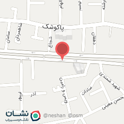 عکس دکتر مینا فروغی