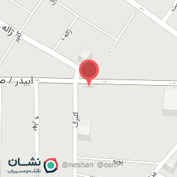 عکس پیتزا شهروند