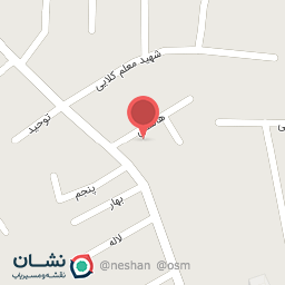 عکس دکتر جواد نبوی