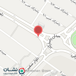 عکس دکتر سید جواد نوربخش